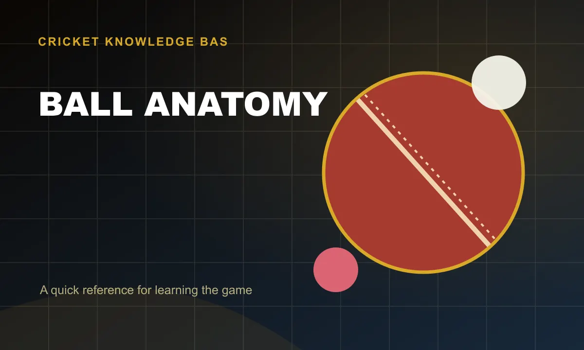 Ball Anatomy
