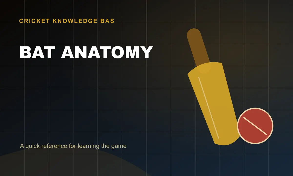 Bat Anatomy